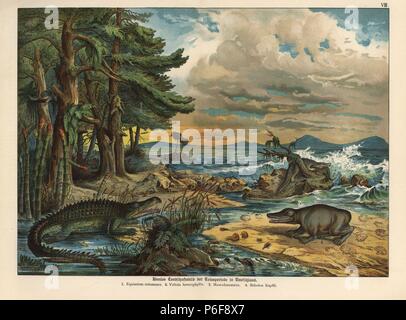 Restauration d'un paysage en Allemagne du Trias : fern prêle Equisetum columnare, conifer tree Voltzia heterophylla, temnospondyl Mastodonsaurus des amphibiens, et crocodile Belodon kapffii. Chromolithographie de Dr. Fr. Rolle's "La géologie et la Paléontologie de Gotthilf Heinrich von Schubert's Naturgeschichte', 'Schreiber, Munich, 1886. Banque D'Images