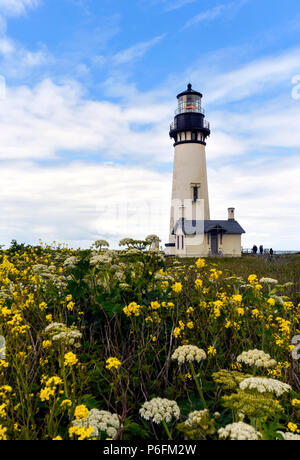 Yaquina Head Light, Phare à Newport, Oregon Banque D'Images