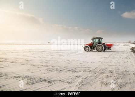Agriculteur avec tracteur - semis semer les cultures aux champs agricoles en hiver et neige Banque D'Images