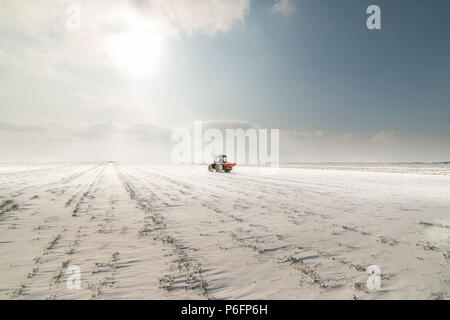 Agriculteur avec tracteur - semis semer les cultures aux champs agricoles en hiver et neige Banque D'Images