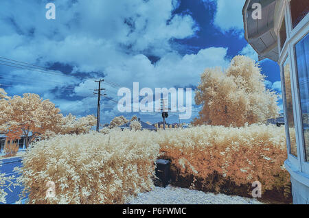 Paysage en fausses couleurs prises avec une caméra infrarouge de modification Banque D'Images