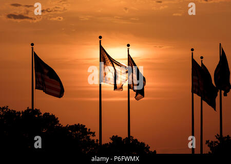 7 juin 2018, Jersey City, New Jersey, USA - Groupe des drapeaux américains au coucher du soleil, le parc d'état de Liberty Nouveau Jerssey Banque D'Images