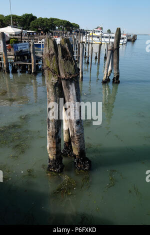 Poteaux d'amarrage en bois dans la mer sur la route de Lido di Jesolo à Venise, Italie. Banque D'Images