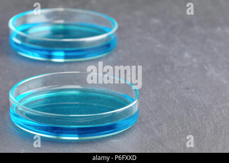 Pétri de sulfate de cuivre (solution de chlorure de cuivre) bleu ardoise liquide isolé sur fond sombre en surface avec une faible profondeur de champ. La science s Banque D'Images