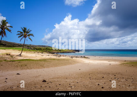 Palmiers sur la plage de Anakena, île de Pâques, Chili Banque D'Images