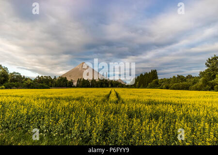 L'huile de schiste ash heap en Estonie Banque D'Images