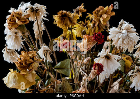 Vase de fleurs mortes et en décomposition. Représentant le sentiment de solitude, la tristesse, la dépression et la perte de la vie. Banque D'Images