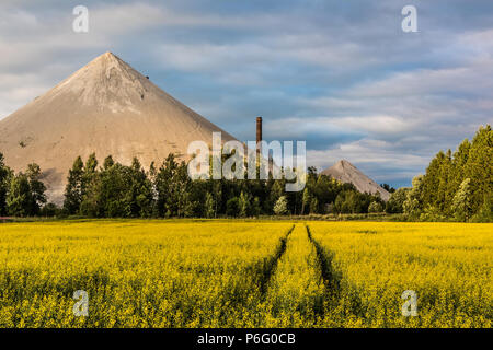 L'huile de schiste ash heap en Estonie Banque D'Images