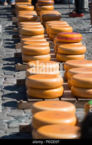 Fromage empilés au marché du fromage Gouda, Pays-Bas Banque D'Images