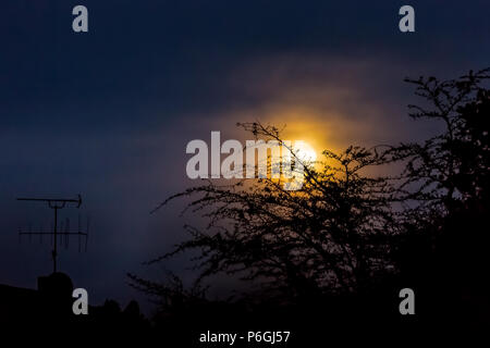 Skyline spectaculaire au coucher du soleil dans une réserve de chasse de l'Afrique du Sud sur Safari Banque D'Images