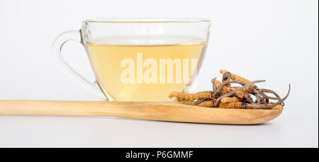 Groupe d'Ophiocordyceps sinensis ou champignons cordyceps herbes c'est un placé sur une cuillère en bois en face d'un verre d'eau. sur cordyceps retour isolés Banque D'Images