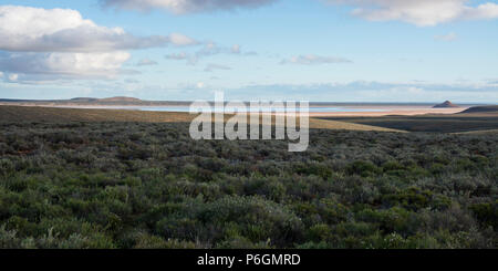 Lac Eyre, SA, Australie Banque D'Images