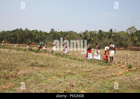 Para eduppu est une coutume populaire au kerala temples bhagavathi.velichappad ou Oracle et son équipe maisons visites de bénir les fervents. Banque D'Images