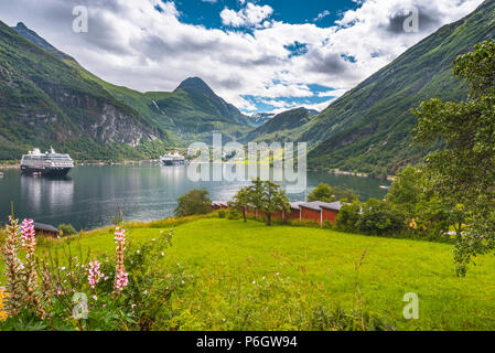 Baie de Geiranger avec les navires de croisière, de la Norvège, voir avec verger de Homlong Banque D'Images