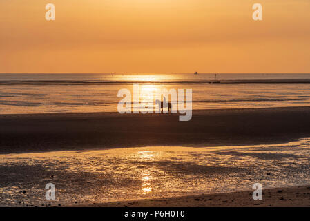 Le coucher du soleil. Crosby Beach. Liverpool nord-ouest de l'Angleterre. Cavalier solitaire. Banque D'Images