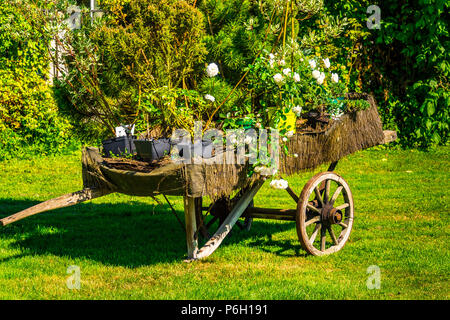 Le jardin de roses à Provins, France Banque D'Images