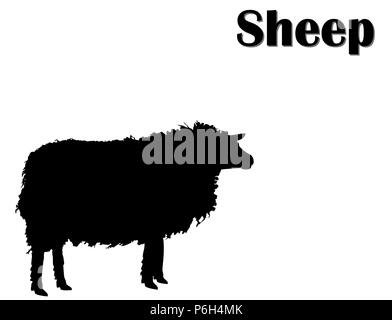 Silhouette de moutons noirs sur fond blanc. Les animaux de ferme, vector, eps 10 Banque D'Images