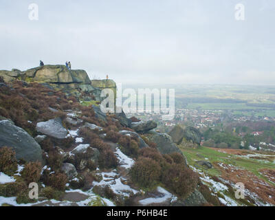 Veau vache et d'Ilkley moor West Yorkshire UK Banque D'Images