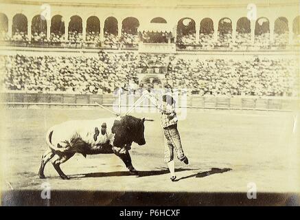 Sevilla, corrida de toros, Suerte de banderilles. Banque D'Images