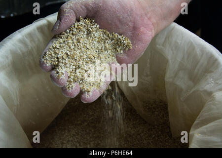 Montrant une main pleine de malt fraîchement moulu . Ensuite transformé en un sac en filet. Banque D'Images