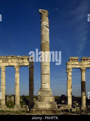 L'art romain en Syrie. Apamée. Moyen Orient. Colonne monumentale et Colonnade. Banque D'Images