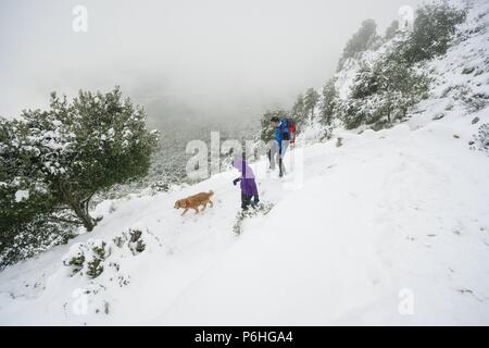 Ses Voltes, Puig Den Galileu, Varese, Sierra de Tramontana, Mallorca, islas Canarias, España, Europa. Banque D'Images