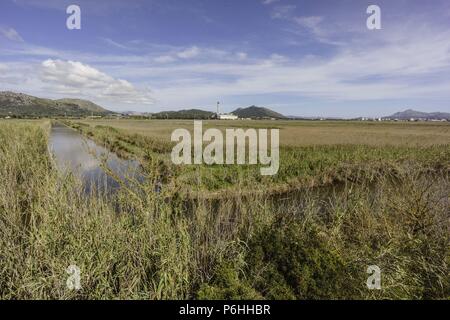 Torre de observacion, canal des Sol, l'Albufera de Majorque, Mallorca, Islas Baleares, Espagne. Banque D'Images