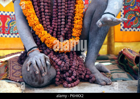 Naga baba porte de Rudraksha Mala avec des fleurs au cours de Maha Kumbh Mela 2013 à Mumbai , Inde Banque D'Images