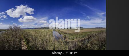 Torre de observacion, canal des Sol, l'Albufera de Majorque, Mallorca, Islas Baleares, Espagne. Banque D'Images