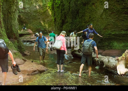 Les touristes à Finnich Glen, Stirlingshire, Scotland - un grain de beauté venant de plus en plus de pressions en raison d'être utilisé comme un lieu de tournage dans Outlander Banque D'Images