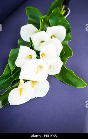 Belle lis calla blancs dans un bouquet sur fond rustique Banque D'Images