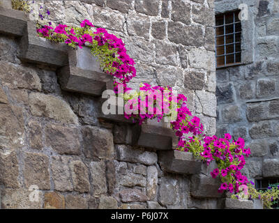 Maison médiévale dans l'ancien quartier de San Pellegrino à Viterbo (Italie), avec des fleurs violettes sur l'escalier Banque D'Images