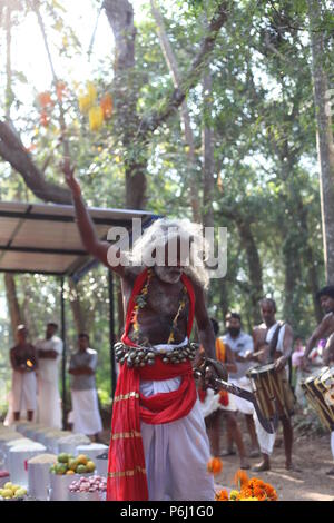 Para eduppu est une coutume populaire au kerala temples bhagavathi.velichappad ou Oracle et son équipe maisons visites de bénir les fidèles Banque D'Images