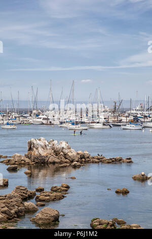 Le port de Monterey et de la Marina, le comté de Monterey, Californie Banque D'Images