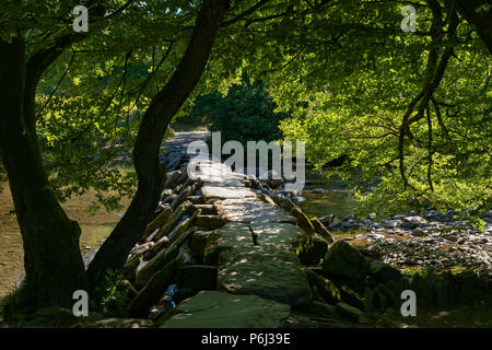 Tarr Étapes Somerset Angleterre 27 juin 2018 clapper ancien pont sur la rivière Barle Banque D'Images