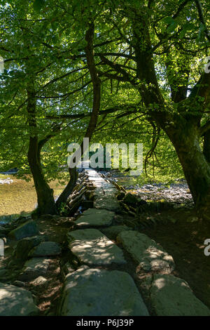 Tarr Étapes Somerset Angleterre 27 juin 2018 clapper ancien pont sur la rivière Barle Banque D'Images