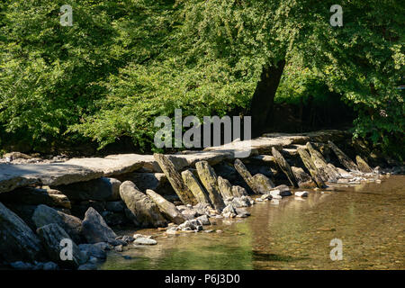 Tarr Étapes Somerset Angleterre 27 juin 2018 clapper ancien pont sur la rivière Barle Banque D'Images
