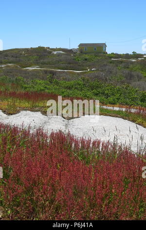 Vue d'une maison isolée dans le paysage rocheux, et la végétation à l'intérieur des terres à Peggy's Cove, Nouvelle-Écosse Banque D'Images