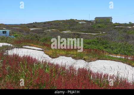 Vue d'une maison isolée dans le paysage rocheux, et la végétation à l'intérieur des terres à Peggy's Cove, Nouvelle-Écosse Banque D'Images