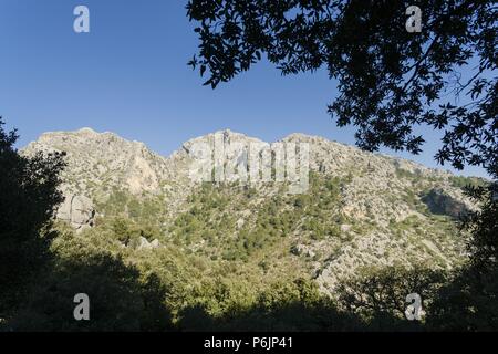 Puig de sa Font 1071 mètres, sierra de Tramuntana, à Majorque, Andalucía, España, Europa. Banque D'Images