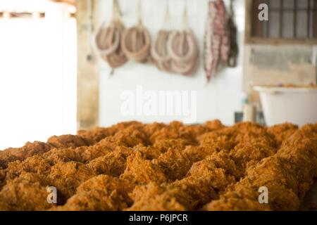 Especiado y mezcla de la sobrasada, matanza tradicional del cerdo, Llucmajor, Mallorca, Islas Baleares, Espagne. Banque D'Images