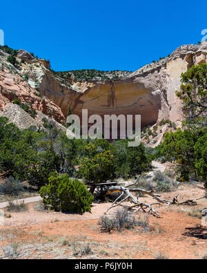 Amphithéâtre de l'écho près de Ghost Ranch dans Abiquiú Nouveau Mexique. Scène naturelle avec des formations rocheuses et arbres et arbustes. Banque D'Images