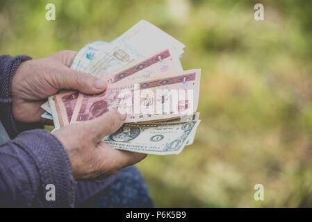 La vieille femme considère billets - mains et de l'argent fermer Banque D'Images