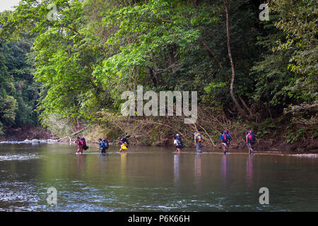 Les randonneurs traversant une rivière le long de l'ancien Camino Real trail, le parc national de Chagres, République du Panama. Banque D'Images