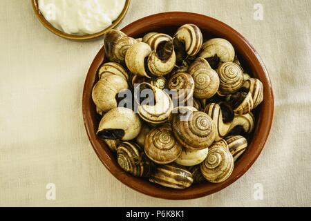 Caracoles a la mallorquina,celler de Randa,llucmajor, Mallorca, Islas Baleares, Espagne. Banque D'Images