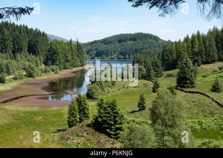 Vue entre forêt de Loch Drunkie dans les highlands d'Ecosse, Royaume-Uni. Banque D'Images