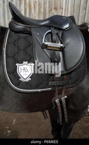 Melbeck, la selle sur le dos d'un cheval Banque D'Images