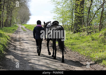 Melbeck, rider mène son cheval le long d'une piste sablonneuse Banque D'Images