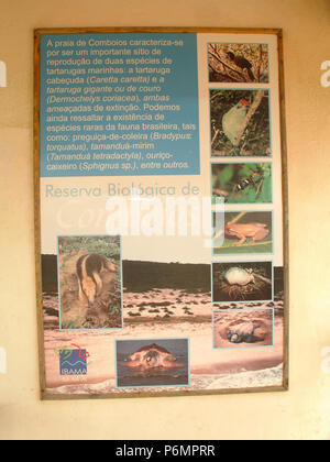 Base de protection, les tortues de mer, Réserve Biologique de Comboios Espírirto Santo, Brésil. Banque D'Images