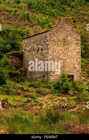 Concasseur à rouleaux Glenmalure Maison Irlande Banque D'Images